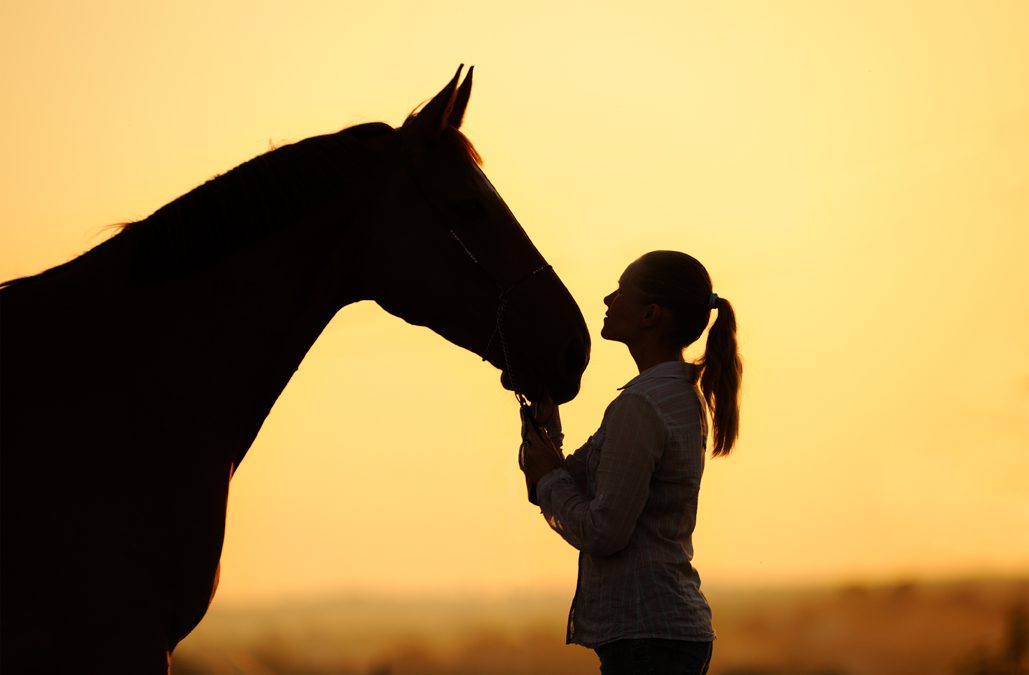 A girl and her horse