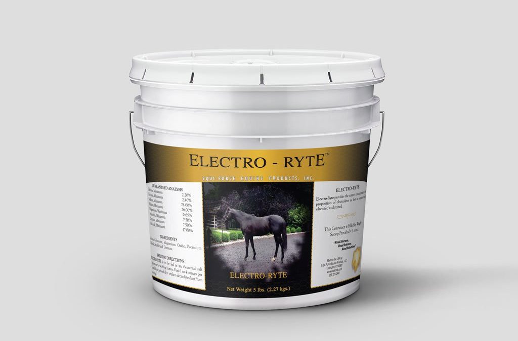 Equine Electrolyte For All Seasons - Electro-Ryte™