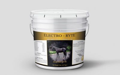 An Equine Electrolyte for All Seasons – Electro-Ryte™