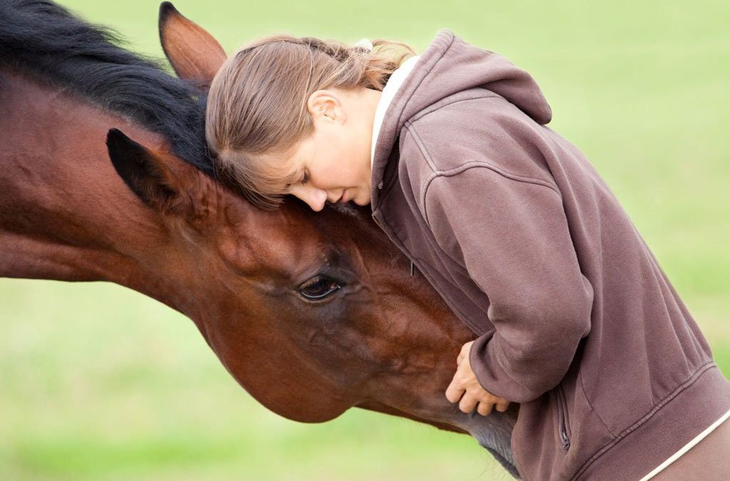 Feeding Horses After Colic Surgery