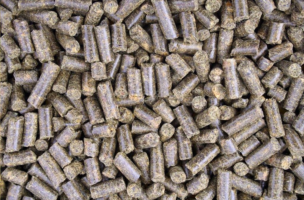 Feeding Myths Debunked – Pellets & Beet Pulp