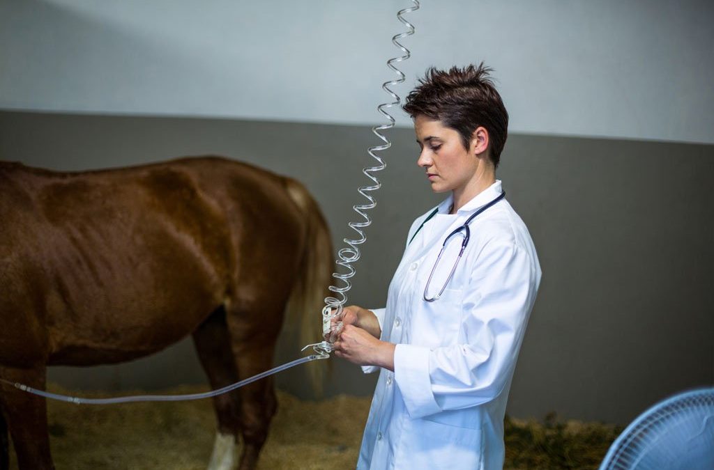 Is Botulism a Serious Threat To My Horse?